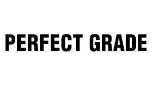 PG (PERFECT GRADE)